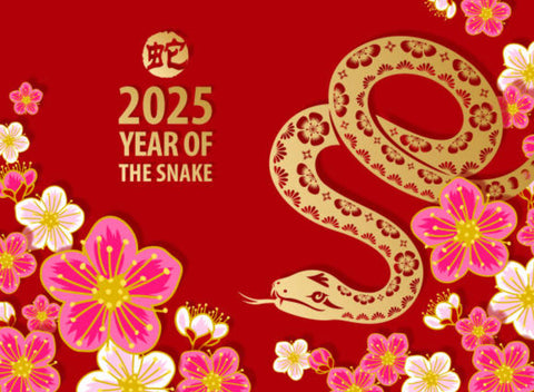 2025 Chinese New Year Collection | Shiok