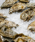 Akashi.H Oyster - Premium Frozen Seafood - Shiok Seafood Wholesale Singapore