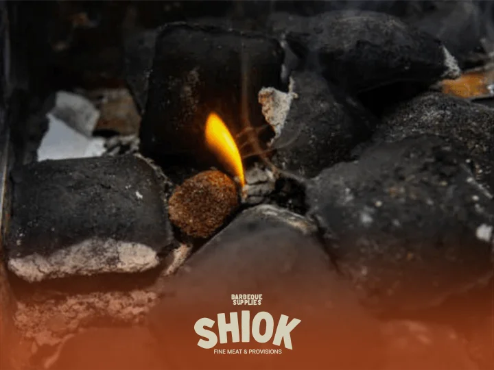 Fire Starter for BBQ Party - BBQ Tools and Accessories