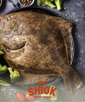 Fresh Indian Ocean Halibut gutted and scaled  - Premium Frozen Seafood - Shiok Barbeque Wholesale Singapore