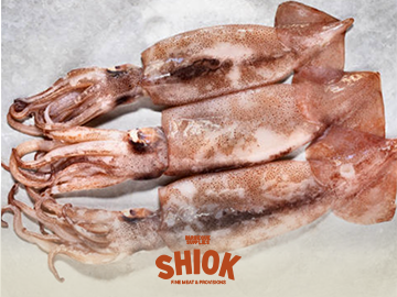 Fresh Squid 8 -10 inches - Premium Frozen Seafood Wholesale - Shiok Barbeque Wholesale Singapore