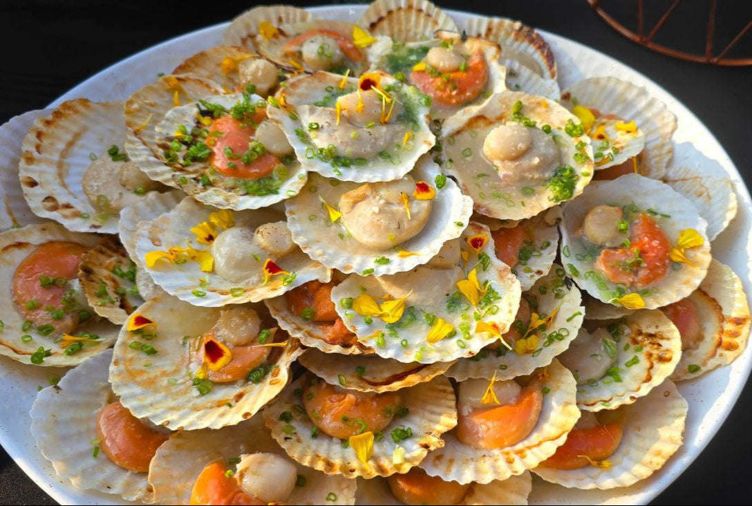Half Shell Queen Scallop 半壳皇后扇贝 | Live Station BBQ Seafood