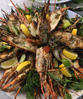 Live Frozen Bamboo Lobster - Seafood for BBQ Singapore
