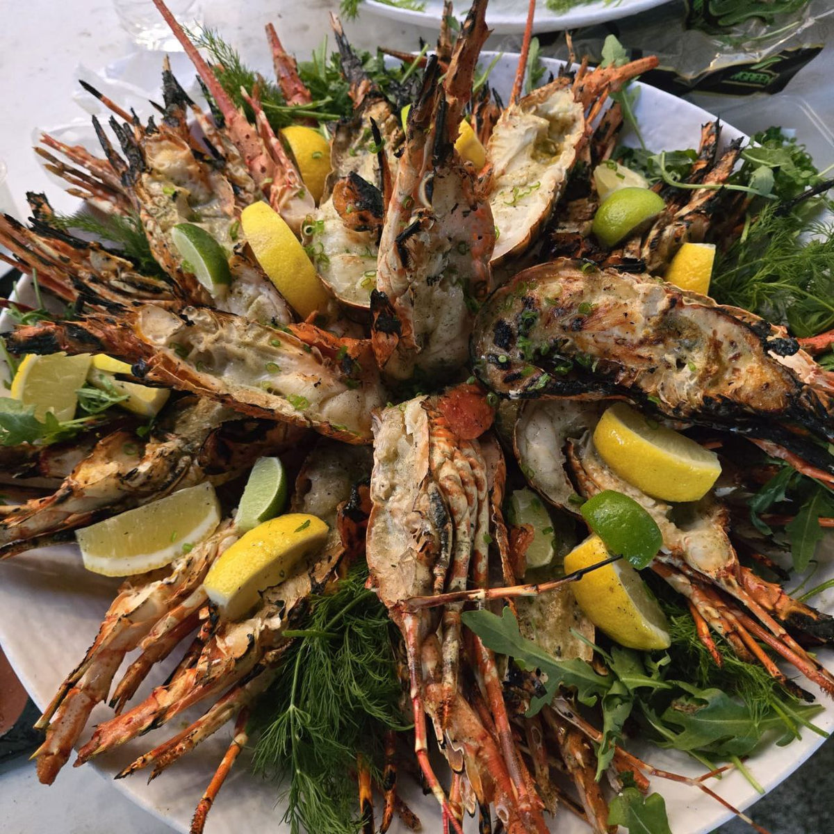 Live Frozen Bamboo Lobster - Seafood for BBQ Singapore