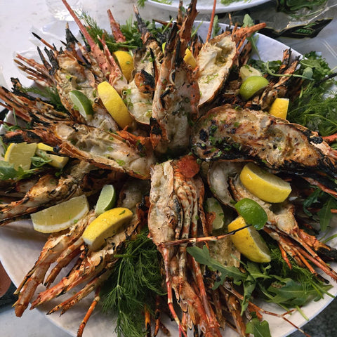 Live Frozen Bamboo Lobster - Seafood for BBQ Singapore