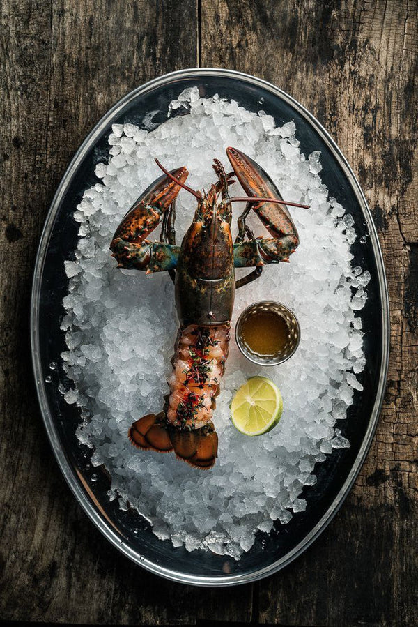 Boston Lobster Party Stock — from $20 a Lobster