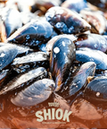 New Zealand Half Shell Mussel - Premium Seafood - Live Frozen