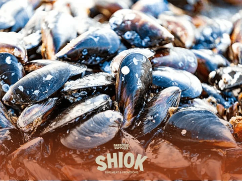 New Zealand Half Shell Mussel - Premium Seafood - Live Frozen