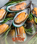 New Zealand Half Shell Mussel - Shiok Seafood Grocery