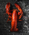 Poached Boston Lobster - Avant Marketplace Singapore