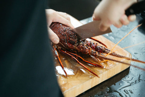Shiok BBQ Chef handling premium live boston lobster - Premium Barbeque Wholesale with Chef Service Singapore