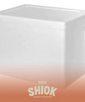Styrofoam Box - BBQ Accessories - Shiok BBQ Catering