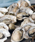 USA Taylor, Fanny Bay Oysters - Live Fresh Oysters - Shiok Seafood Premium Wholesale