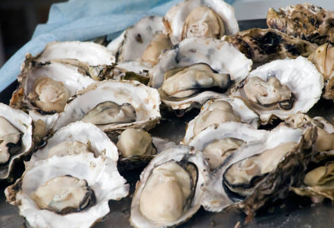 USA Taylor, Fanny Bay Oysters - Live Fresh Oysters - Shiok Seafood Premium Wholesale